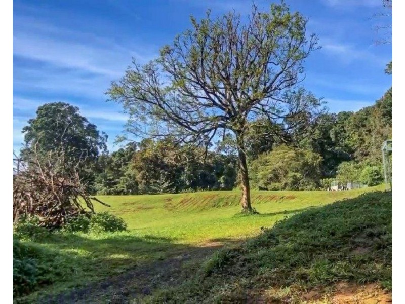 Millaa Millaa QLD 4886