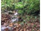 Millaa Millaa QLD 4886