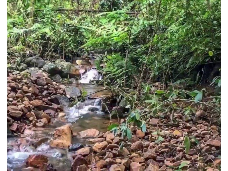 Millaa Millaa QLD 4886