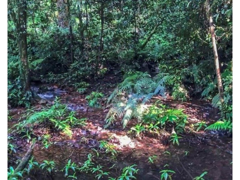 Millaa Millaa QLD 4886