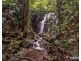 Millaa Millaa QLD 4886