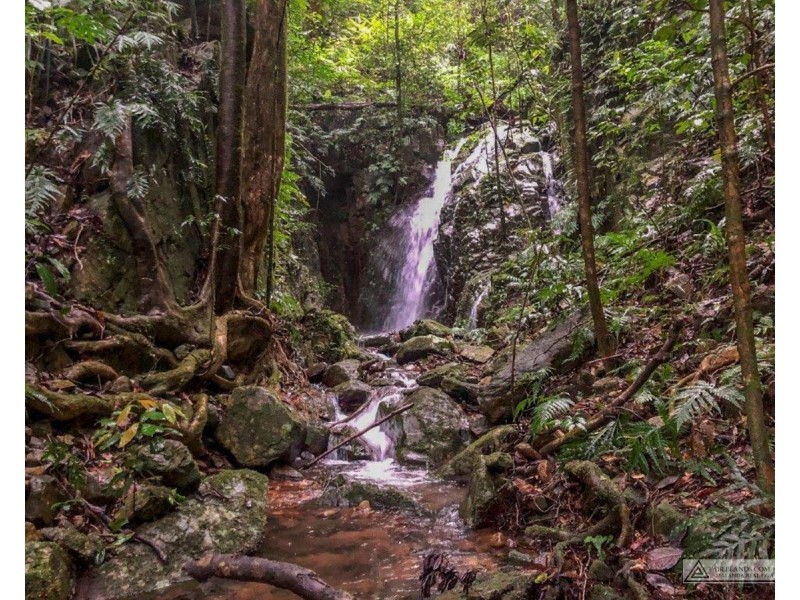 Millaa Millaa QLD 4886