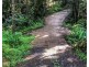 Millaa Millaa QLD 4886