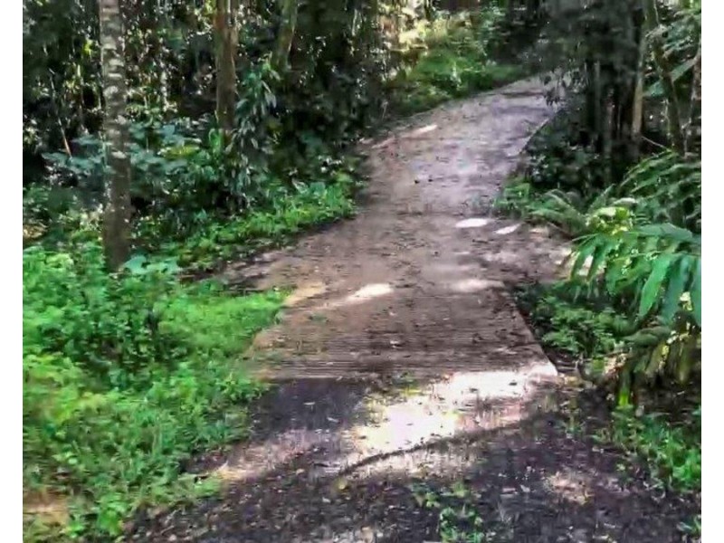 Millaa Millaa QLD 4886