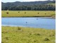 Ravenshoe QLD 4888
