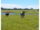 Ravenshoe QLD 4888