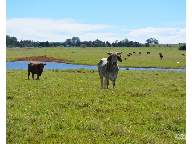 Ravenshoe QLD 4888