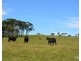 Ravenshoe QLD 4888