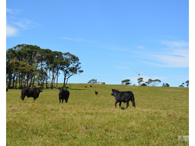 Ravenshoe QLD 4888