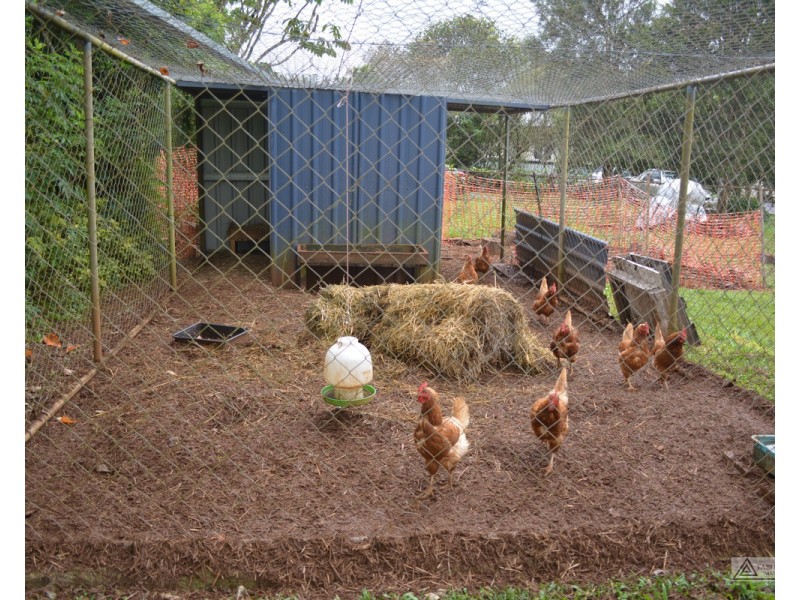 Millaa Millaa QLD 4886