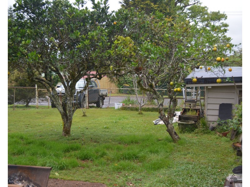 Millaa Millaa QLD 4886