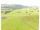 Millaa Millaa QLD 4886