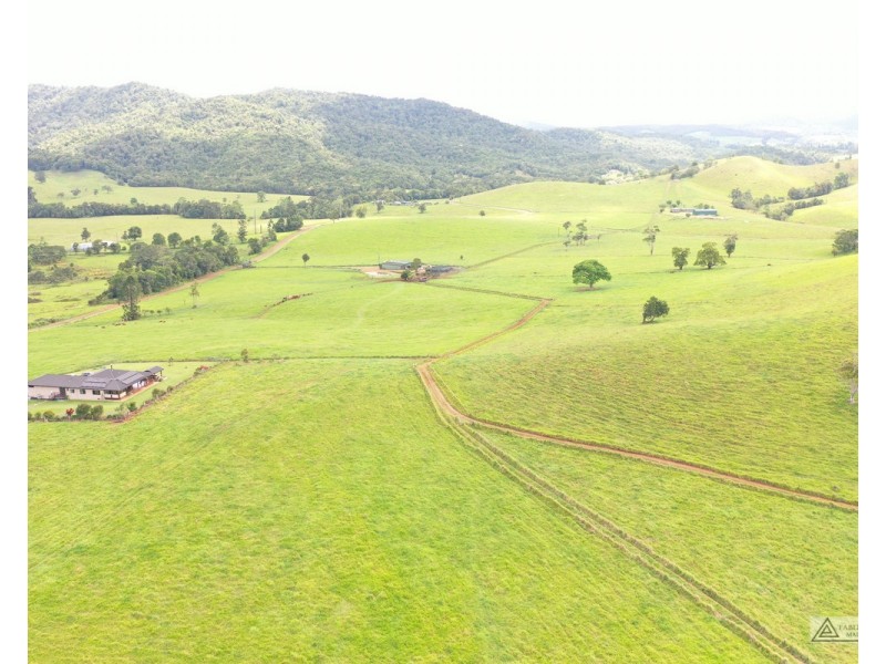 Millaa Millaa QLD 4886