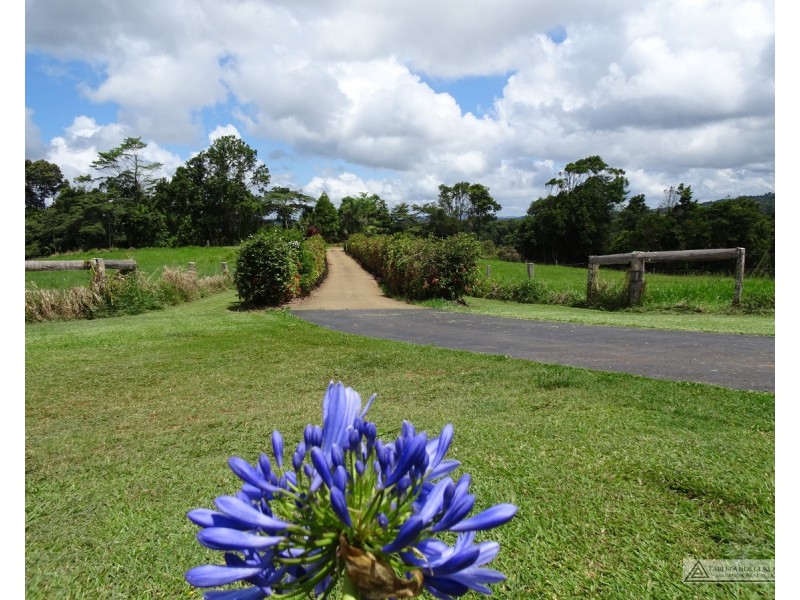 Millaa Millaa QLD 4886