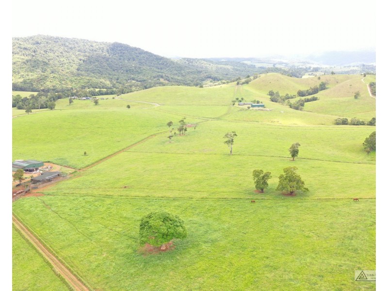 Millaa Millaa QLD 4886