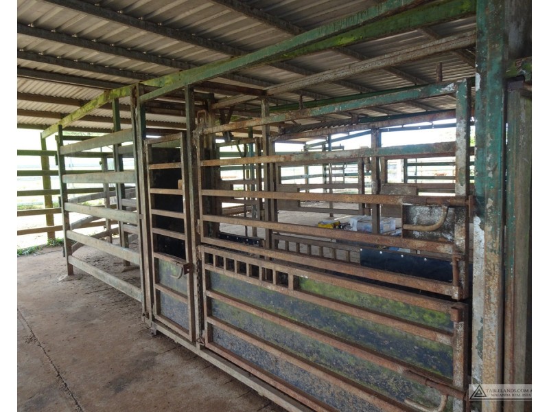 Millaa Millaa QLD 4886