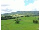 Millaa Millaa QLD 4886