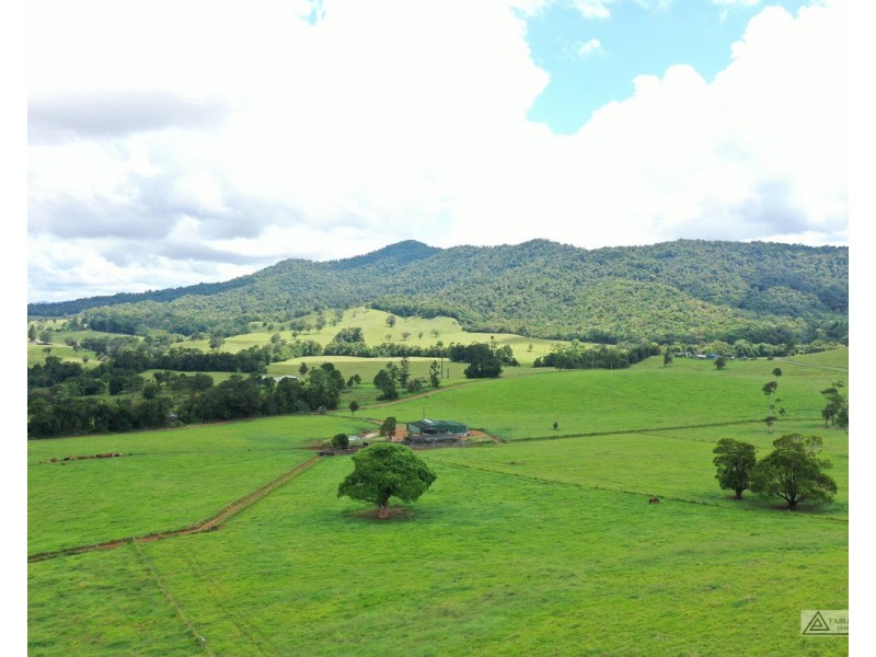 Millaa Millaa QLD 4886