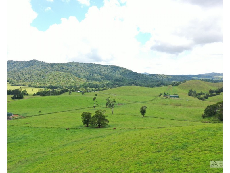 Millaa Millaa QLD 4886