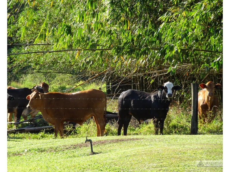 North Johnstone QLD 4885