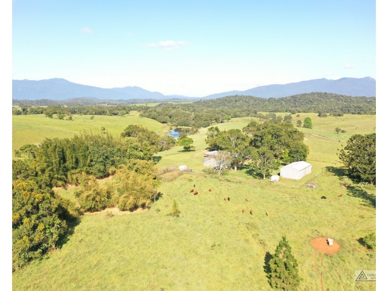 North Johnstone QLD 4885