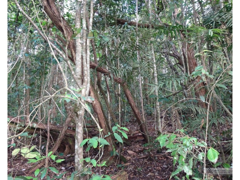 North Johnstone QLD 4885