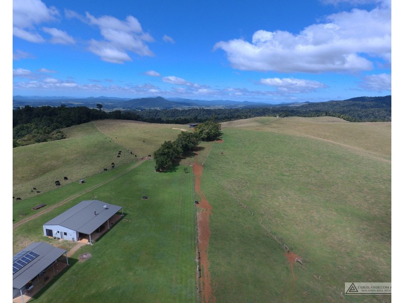 Millaa Millaa QLD 4886