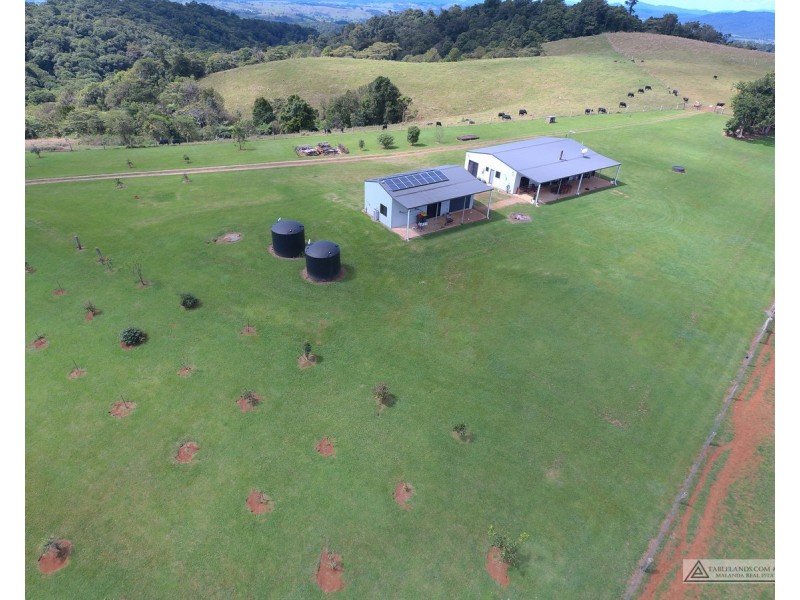 Millaa Millaa QLD 4886