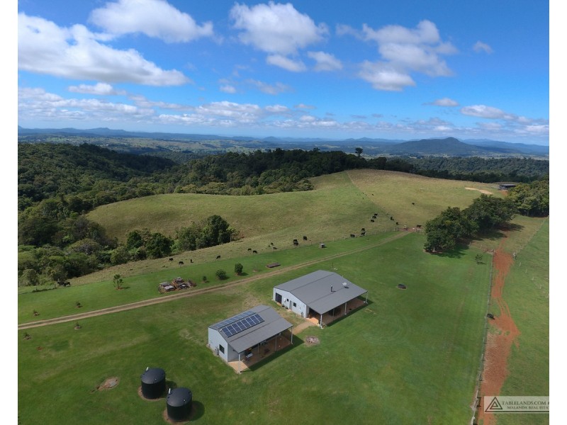 Millaa Millaa QLD 4886