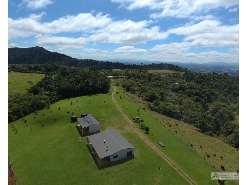 Millaa Millaa QLD 4886