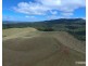 Millaa Millaa QLD 4886