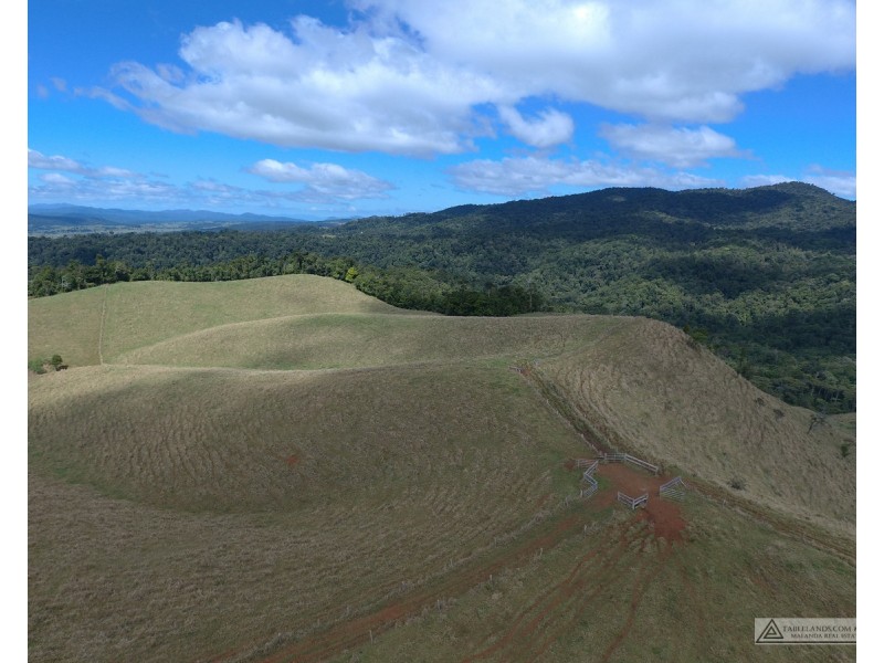 Millaa Millaa QLD 4886