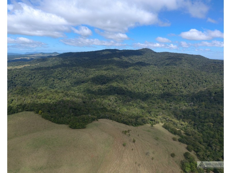 Millaa Millaa QLD 4886