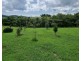 Millaa Millaa QLD 4886
