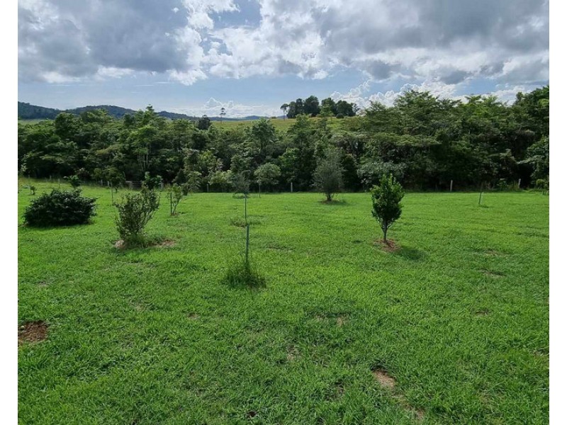 Millaa Millaa QLD 4886