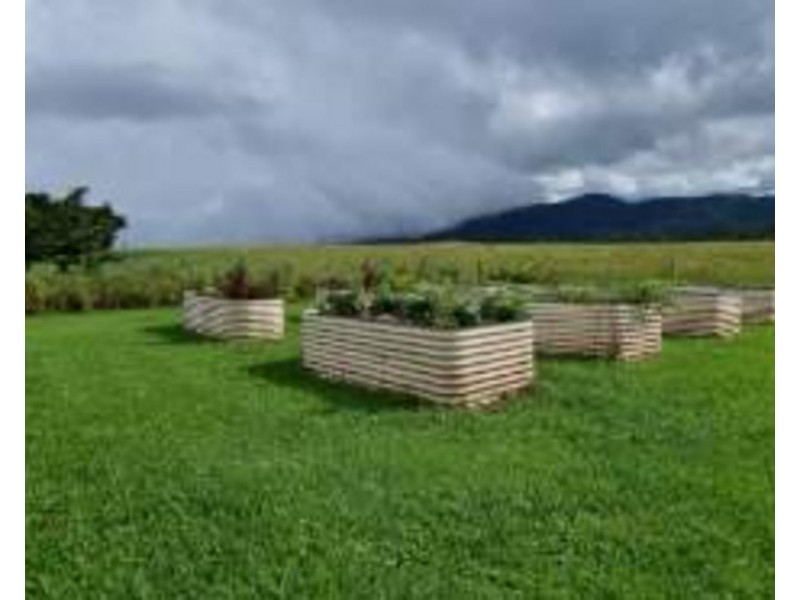 Millaa Millaa QLD 4886