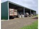 Millaa Millaa QLD 4886