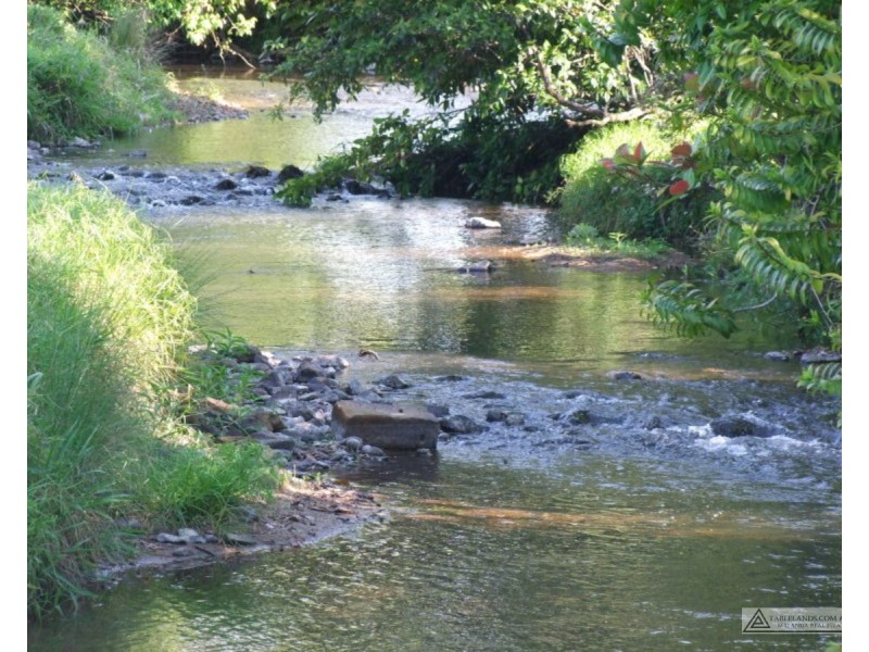 Millaa Millaa QLD 4886