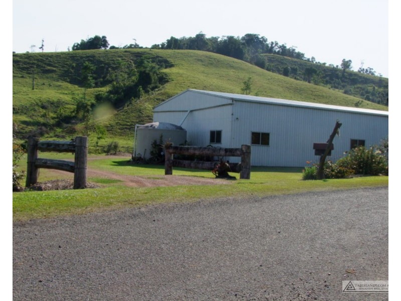 Millaa Millaa QLD 4886