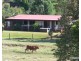 Millaa Millaa QLD 4886