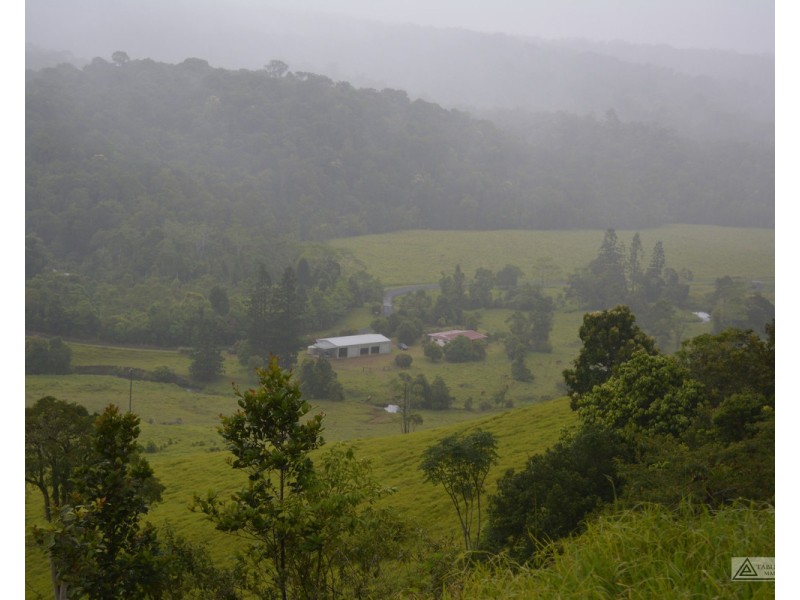 Millaa Millaa QLD 4886
