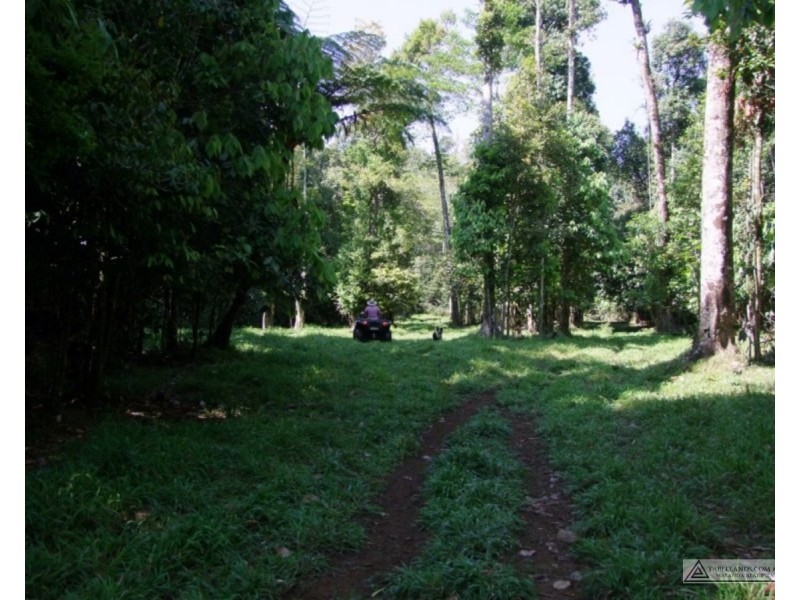 Millaa Millaa QLD 4886