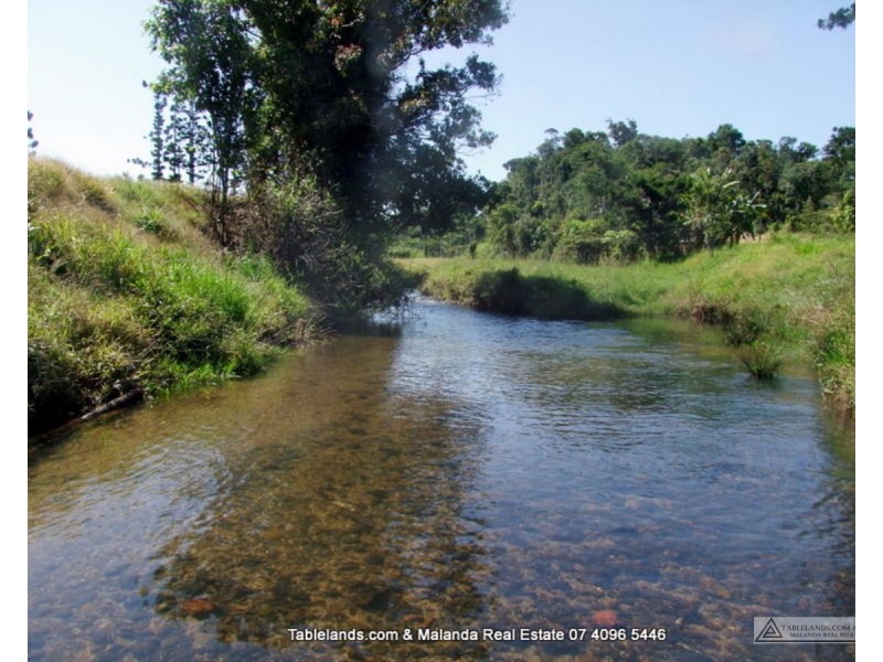 Millaa Millaa QLD 4886