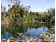 Millaa Millaa QLD 4886