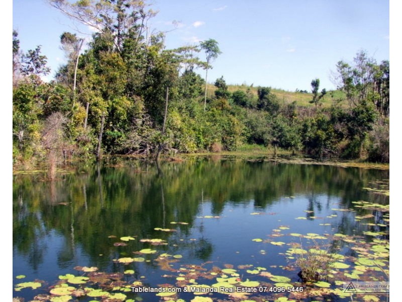Millaa Millaa QLD 4886