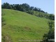 Millaa Millaa QLD 4886