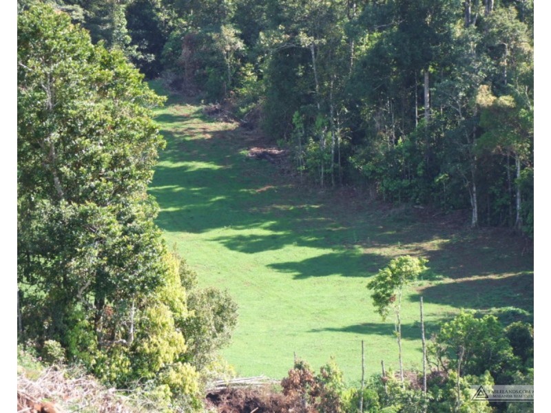 Millaa Millaa QLD 4886