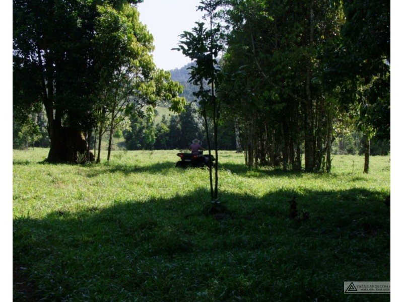 Millaa Millaa QLD 4886