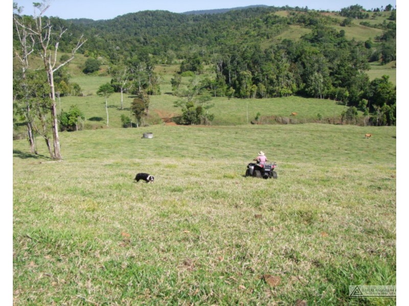 Millaa Millaa QLD 4886