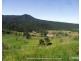 Millaa Millaa QLD 4886